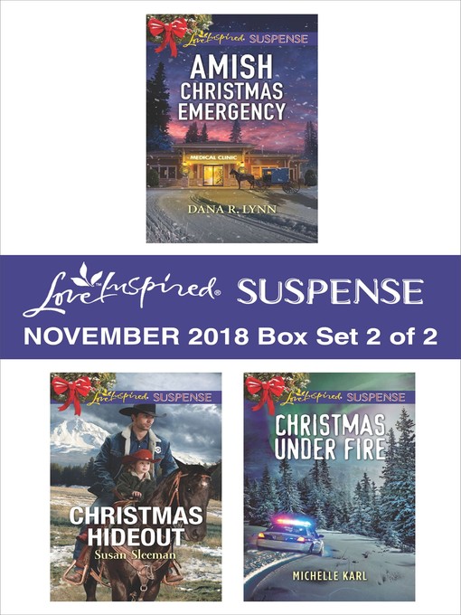 Title details for Harlequin Love Inspired Suspense November 2018, Box Set 2 of 2 by Dana R. Lynn - Available